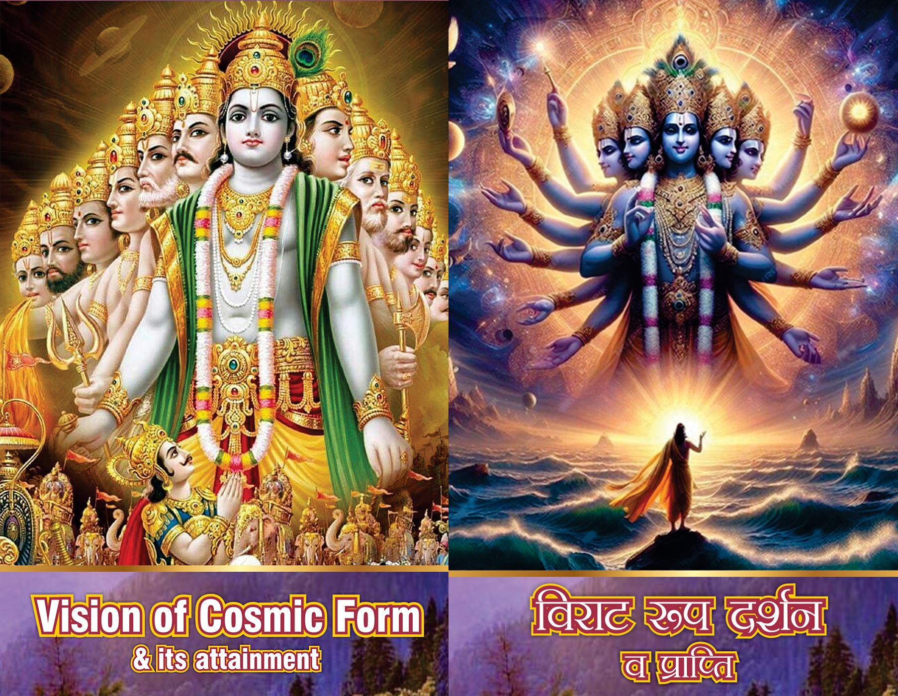 vision of cosmic form and its attainment & virat roop darshan combo books