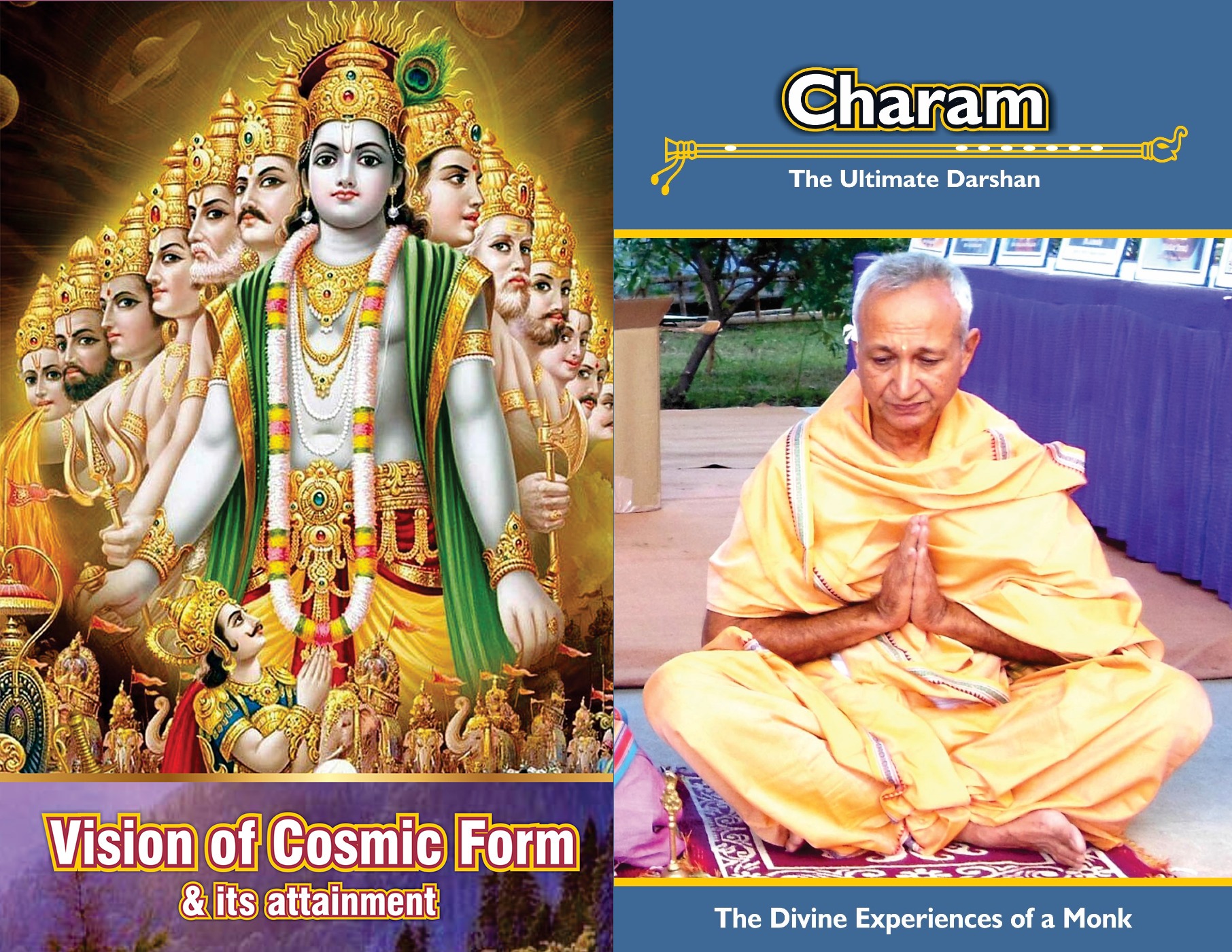 vision of cosmic form and its attainment & charam the ultimate darshan combo books